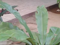 Relaxing Home Stay 