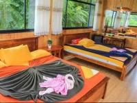 Tea Forest Lodge 