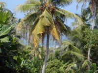 Lahiru Villa 1*