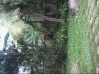 Piyals Rest 