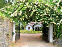 Kithulvilla Holiday Bungalow 