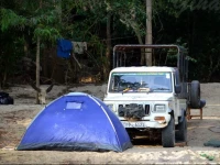 L L T Safari Wilpattu 