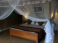 Wilpattu Safari Camp 
