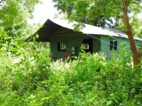 Yala Peocok Camping 