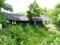 Yala Peocok Camping