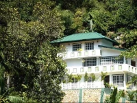 Dawson Bungalow 