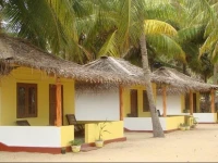 Dolphin Villa Resort 