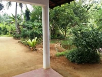 Pinnawala home stay 