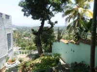 Ameelia Lodge Inn 