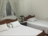 Damis Homestay 