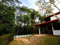 Grannys Forest Lodge 