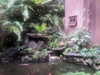 Lakelands 