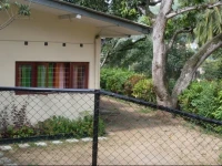 Mango Grove Cottage Kandy 