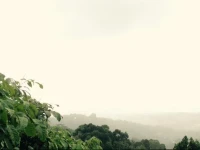 Misty Heaven 