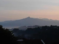 Natures Nest Kandy 