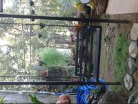 Over The Hill Homestay 