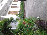 Soloman Villa 