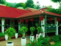 The Orchard Kandy & China Home 