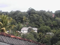 Villa 46 