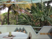 Village Villa Homestay 