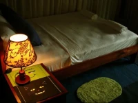 Leopard Yala Luxury Camping 