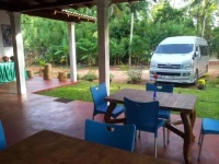 Homely Guest 