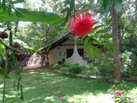 Rimaka Village 