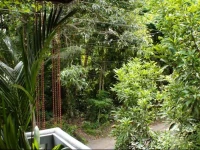 Dilinis Place 