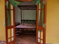 Happiness Guest 