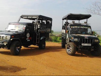 Buddika Safari & Resort