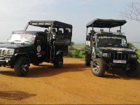 Buddika Safari & Resort 