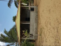 Beach Bungalows & Beach Camping 