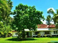 Subhasha Summer Cottage 
