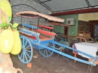 Mangala Lodge 
