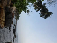 PillowBest Guest House 