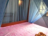 Surf Mount Plant Inn Midigama 