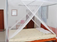 Dewanma Surf Inn 