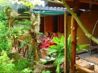 Sandaru Cabanas Mirissa 