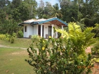 Birds Voice Villa Mirissa 