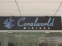 Coralworld Hotel 