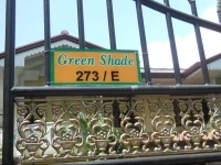 Green Shade 