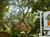 First Mirissa Hostel 