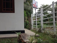 Mirissa Estate 