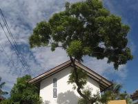MY Hostels Mirissa 