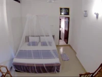 Sanda Hiru Guest 