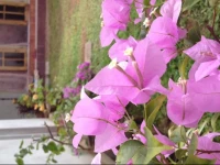 Manik Home Stay Negombo 