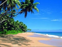 Island Breeze Hostel 