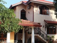 Mollys House 