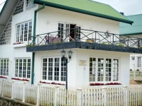 Villa Tea Fields 