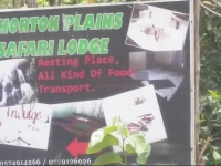 Horton plains Safari 